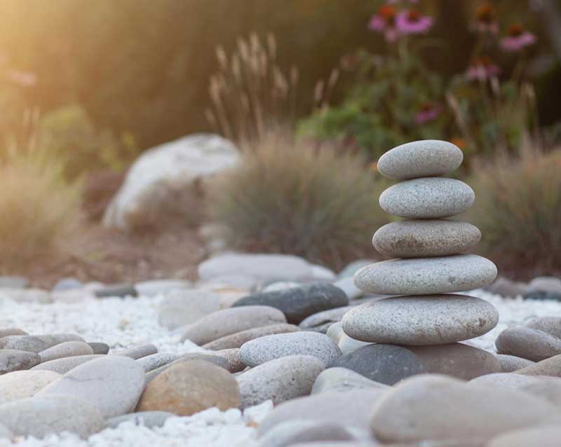 Imatge sobre els cursos